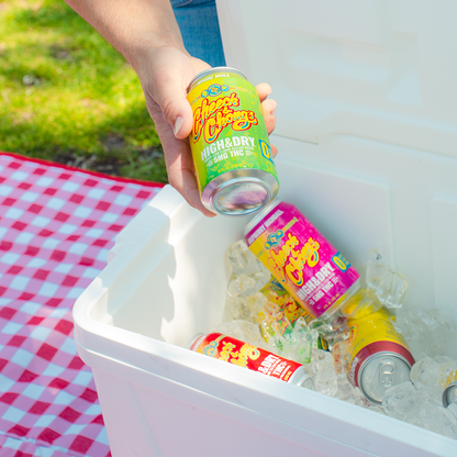 Delta-9 THC Seltzer - Mango Fizz (6-pack, 5 mg each)